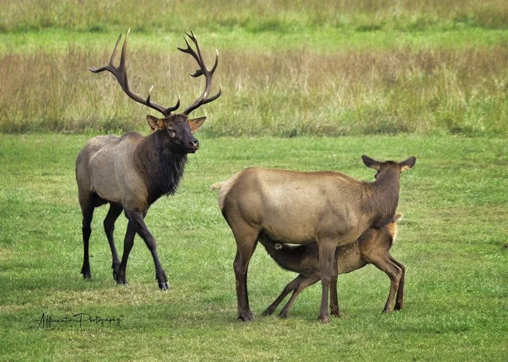 2021-09-29 001 1498 merged 2-1 SIZED.jpg