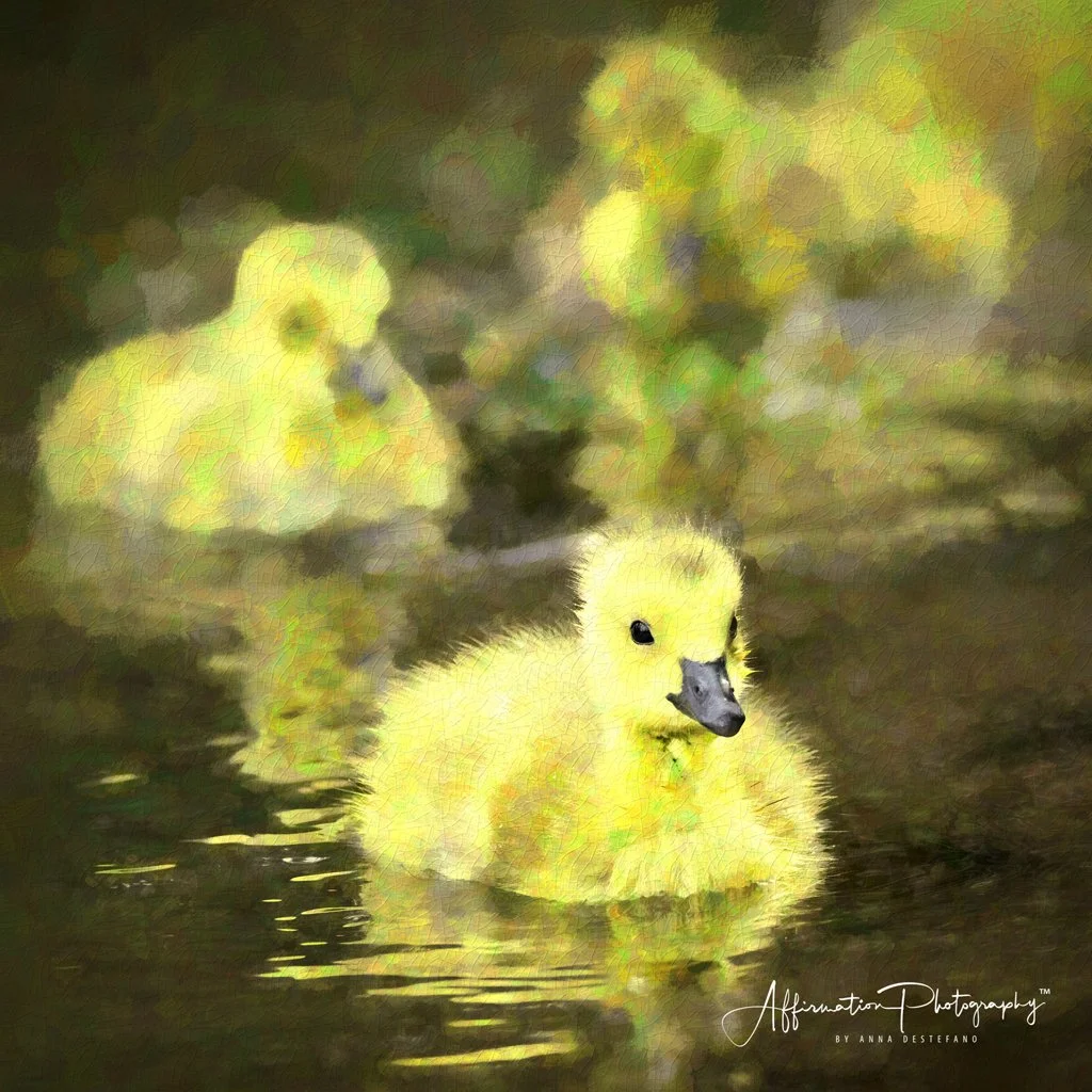 2021-04-14 001 065 MERGED 2-1.jpg