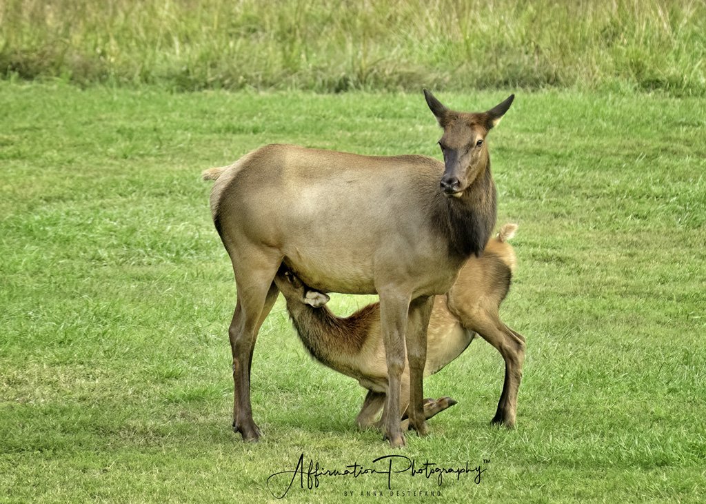 2021-09-29 001 1480 MERGED-1 SIZED.jpg