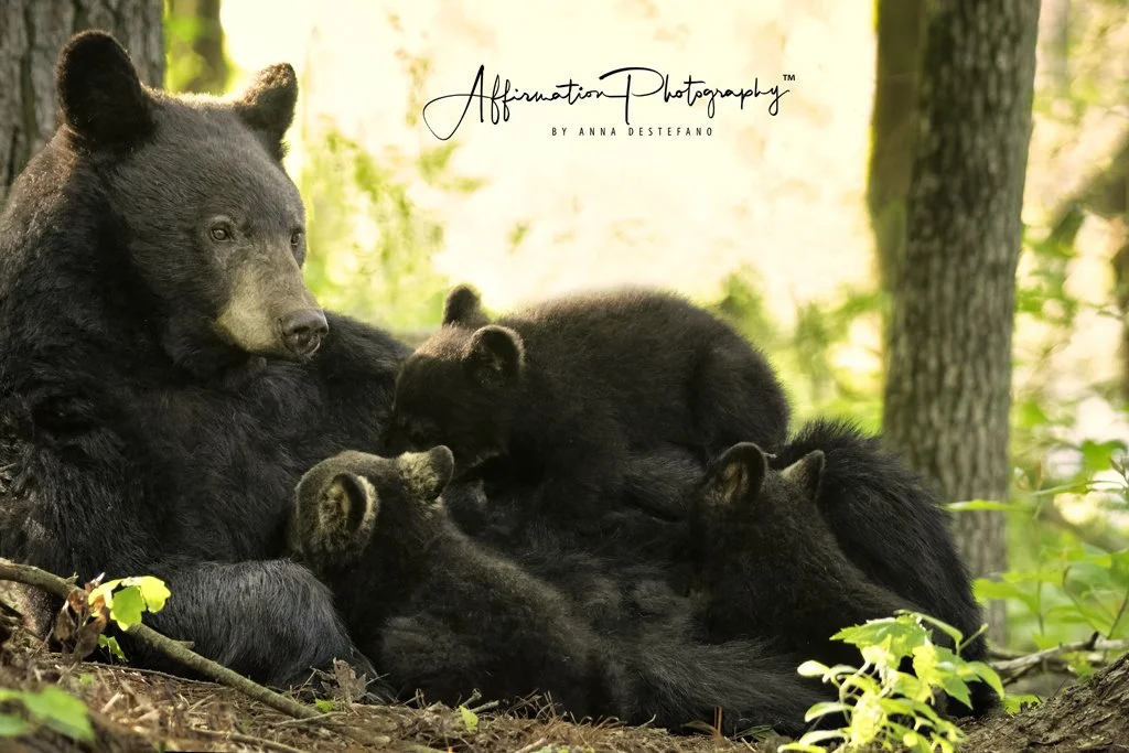 2021-05-15 001 506-Edit merged 3 merged-1.jpg