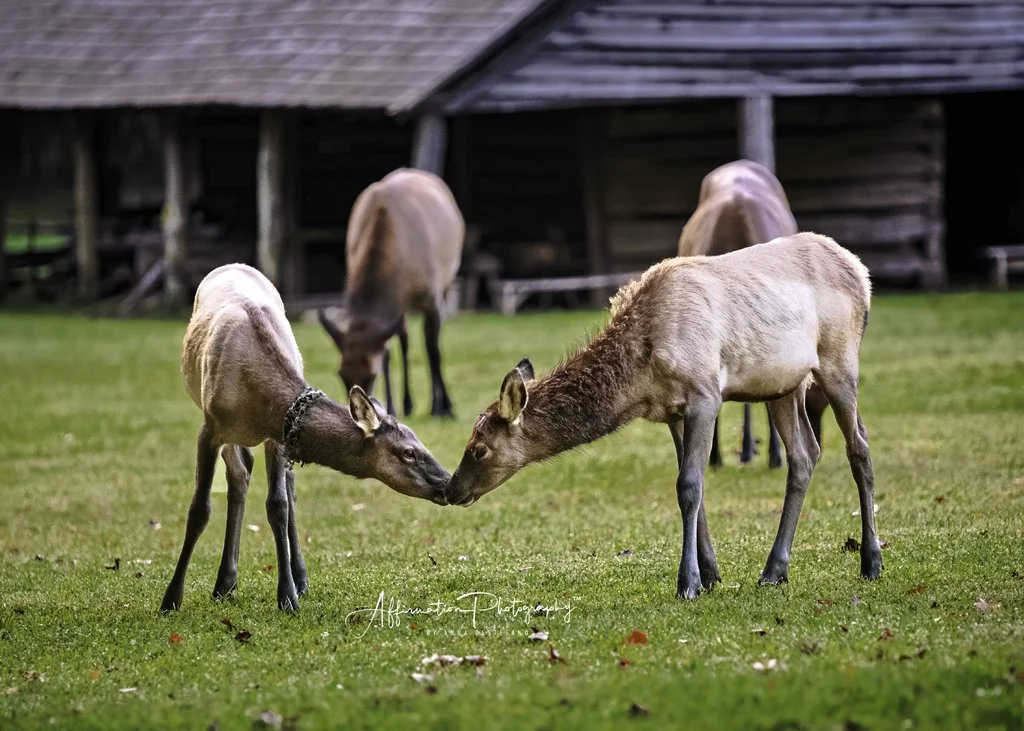 2020-09-22 003 751 - Copy-Edit merged 3-2 SIZED.jpg