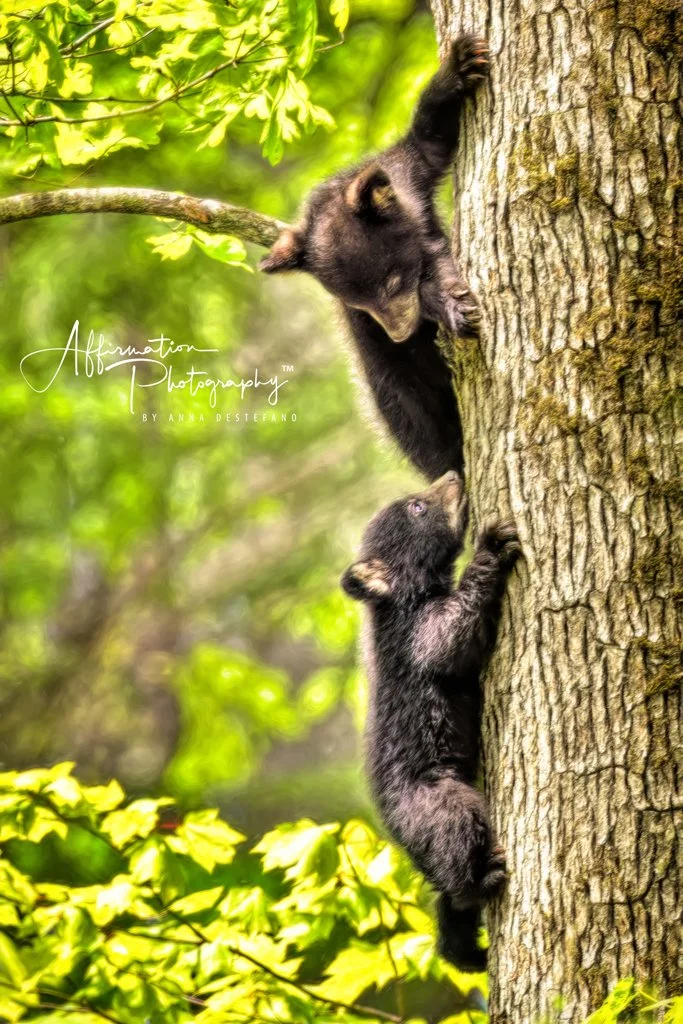 2024-04-27 001 1548 merged-1.jpg