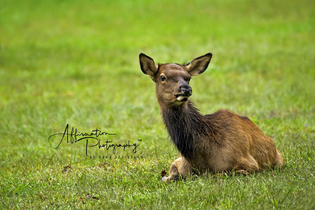 2021-09-30 001 423-Edit merged 2-2 SIZED.jpg