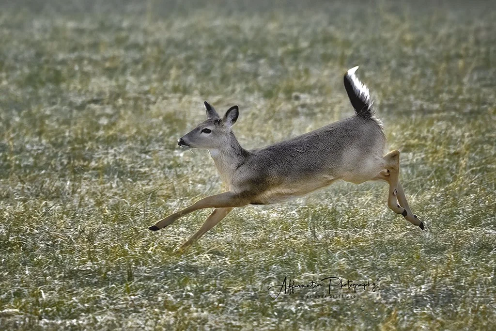 2022-01-25 001 142-1 SIZED.jpg