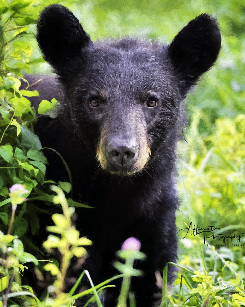 2022-08-12 003 399-Edit merged 2 TOPAZ merged-1 sized.jpg