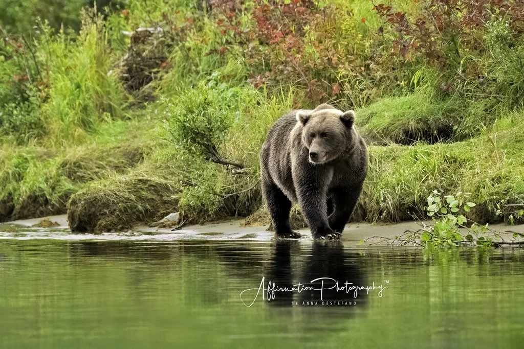 2022-09-06 003 878-Edit merged 2-1.jpg