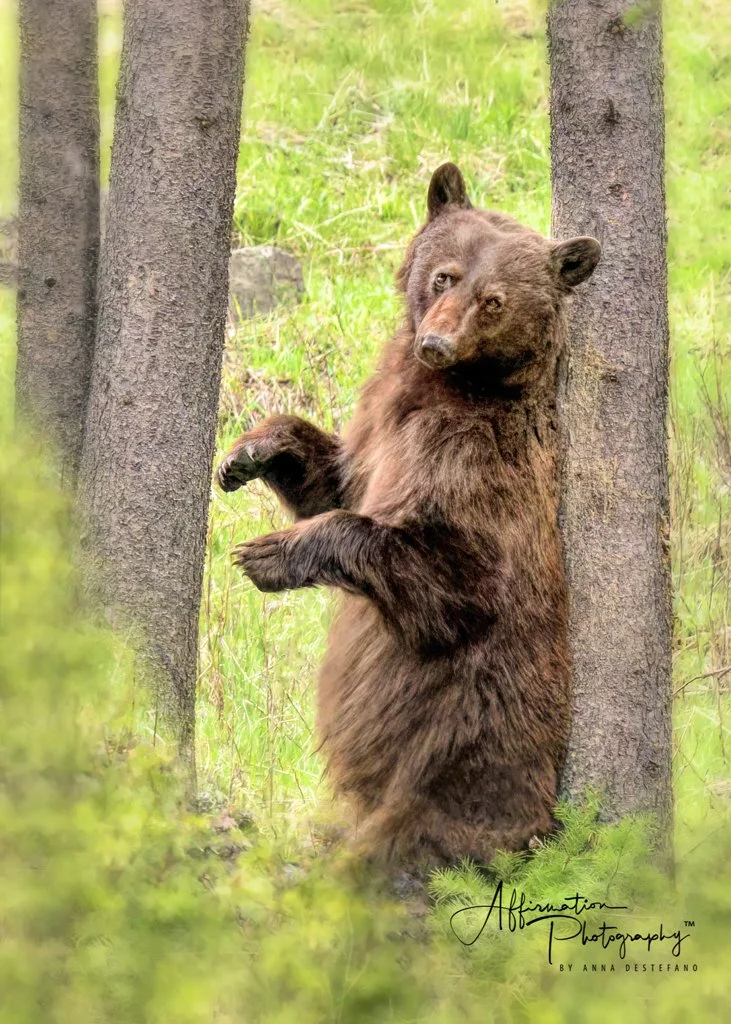 2024-05-09 005 535-1 SIZED.jpg