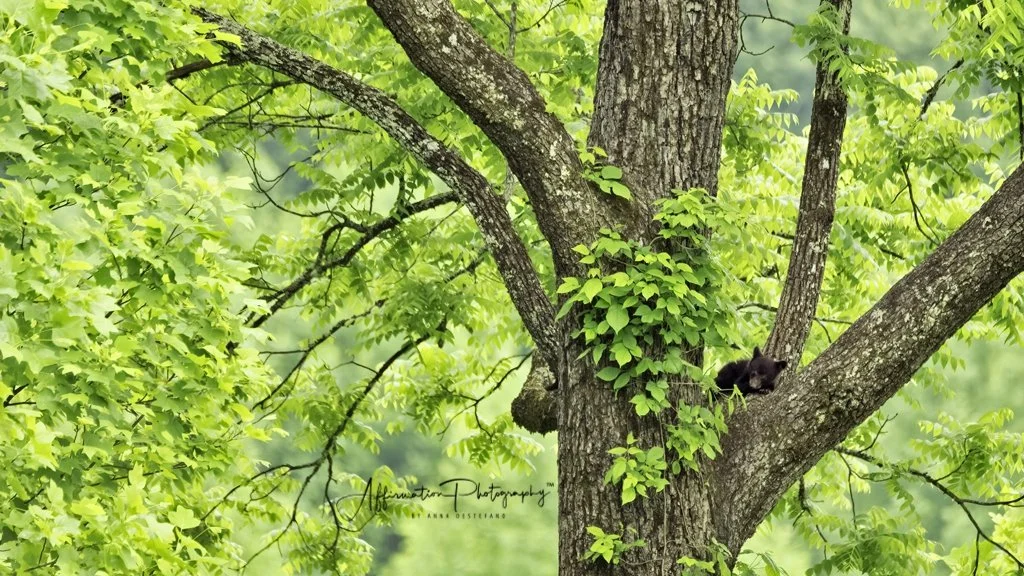 2021-06-03 001 126-Edit merged CROPPED SIZED-1.jpg