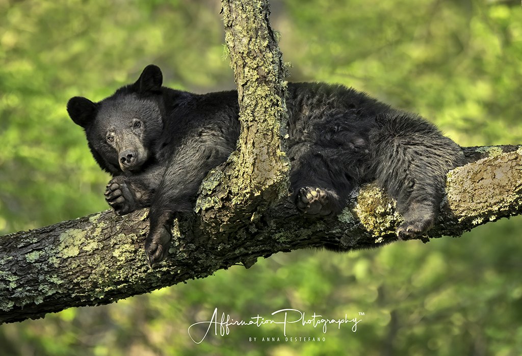 2021-05-14 001 559 merged 3-1 SIZED.jpg