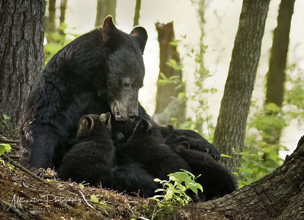 2021-05-15 001 435-Edit-1 SIZED.jpg