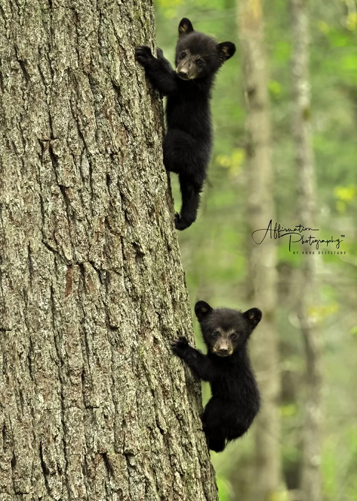 2021-05-13 001 666-Edit merged-1.jpg