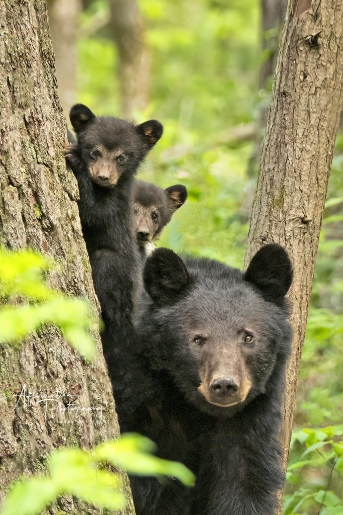 2021-05-13 001 767 merged SIZED-1.jpg