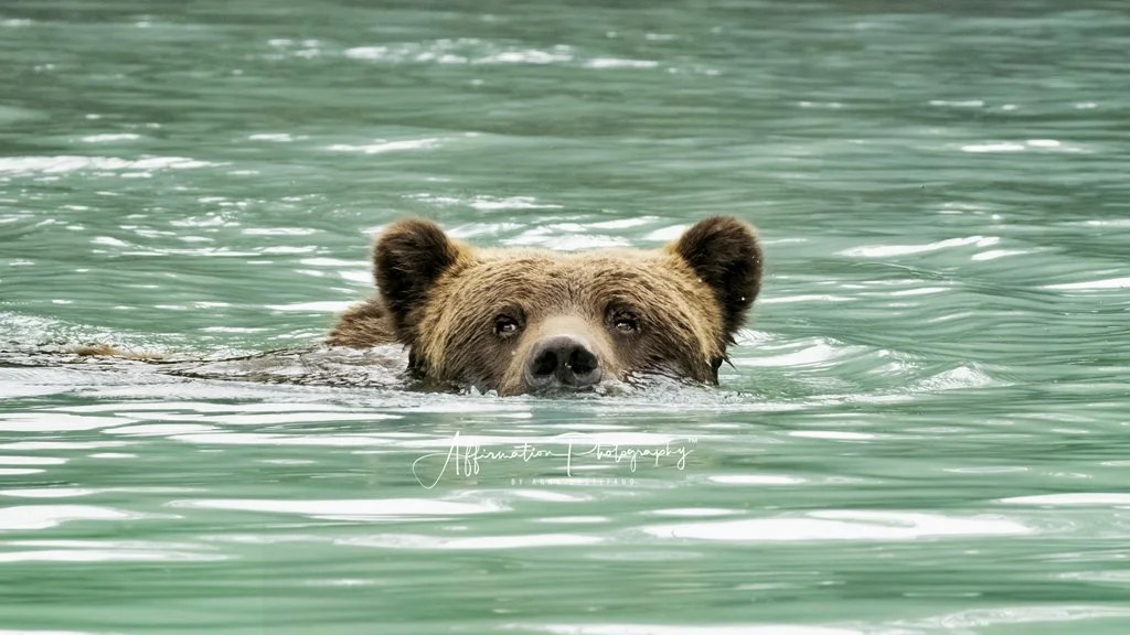 2022-09-06 003 636-Edit merged-1.jpg