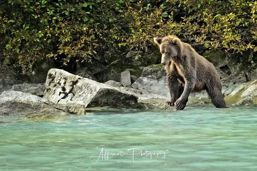 2022-09-06 004 455-Edit merged-1 sized.jpg