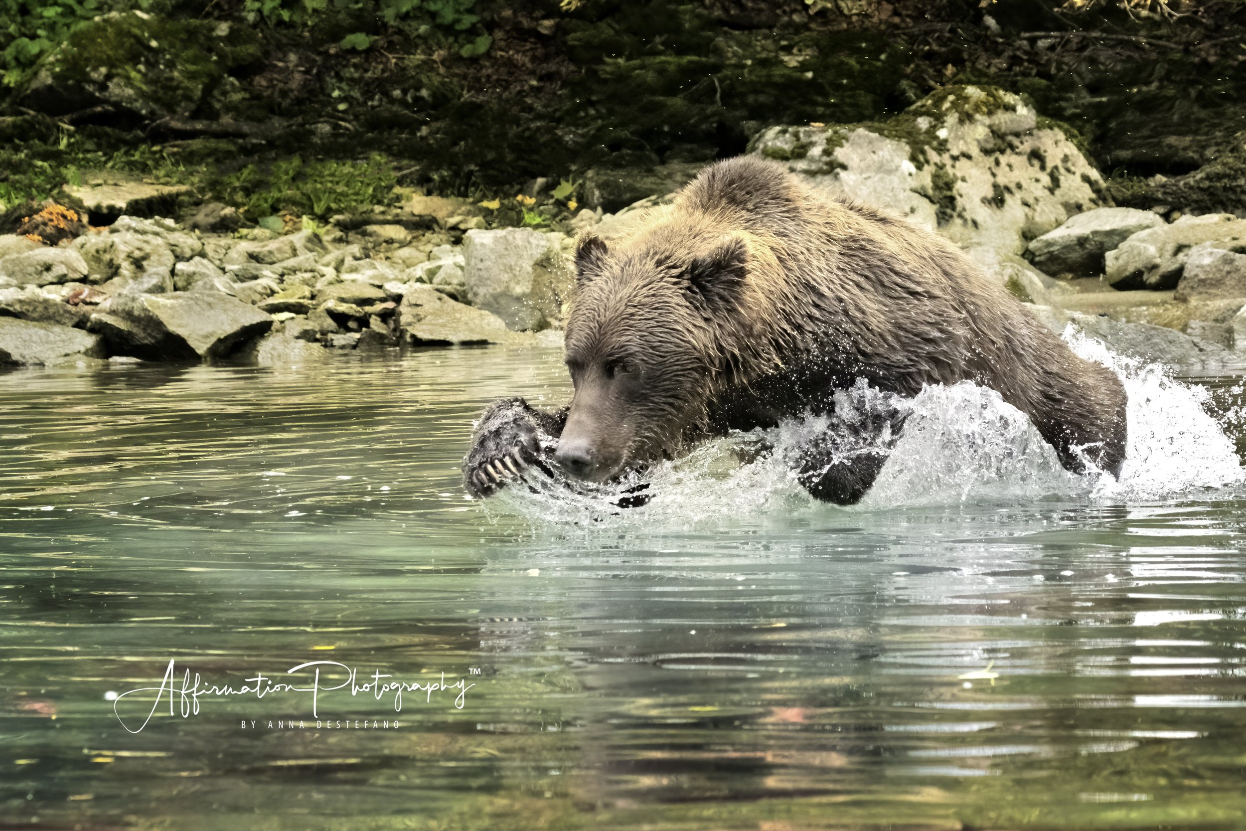 2022-09-06 002 1374-Edit merged 3-1.jpg