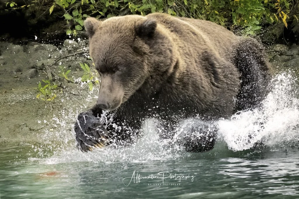 2022-09-06 001 1529-Edit merged-1.jpg