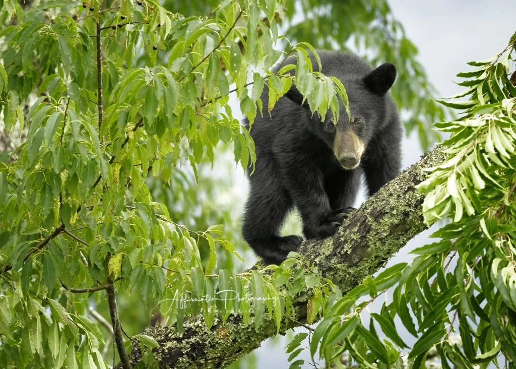 2021-08-19 003 1270 sized-1.jpg