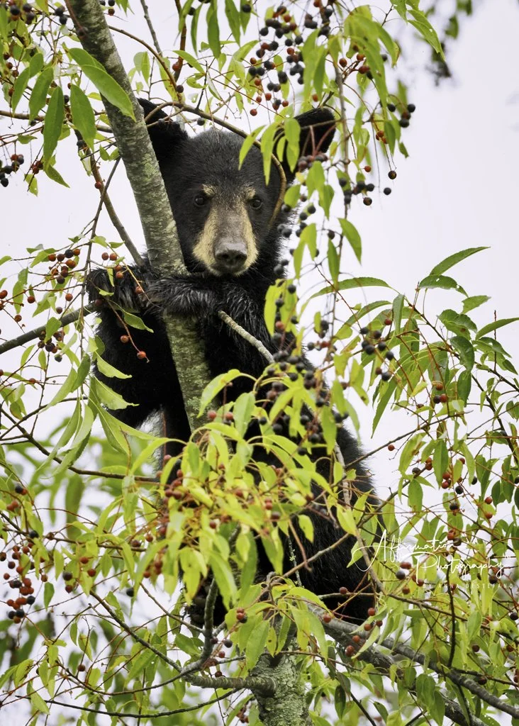 2021-08-19 001 687-Edit merged 3-1.jpg