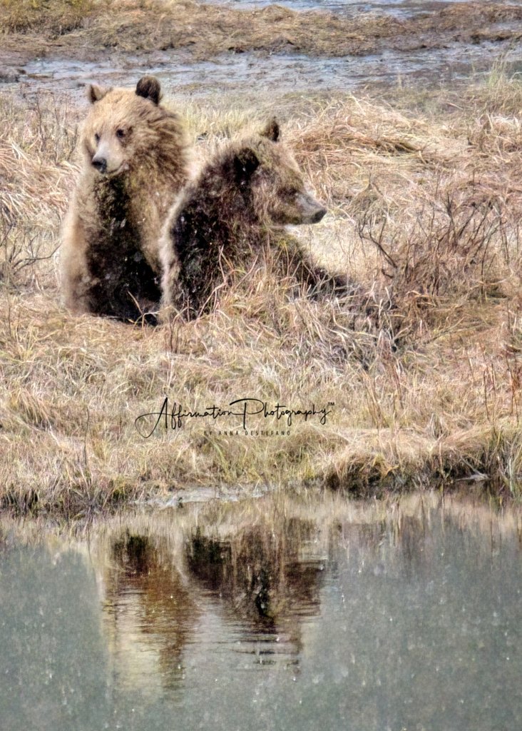 2024-05-07 001 327-1 sized.jpg