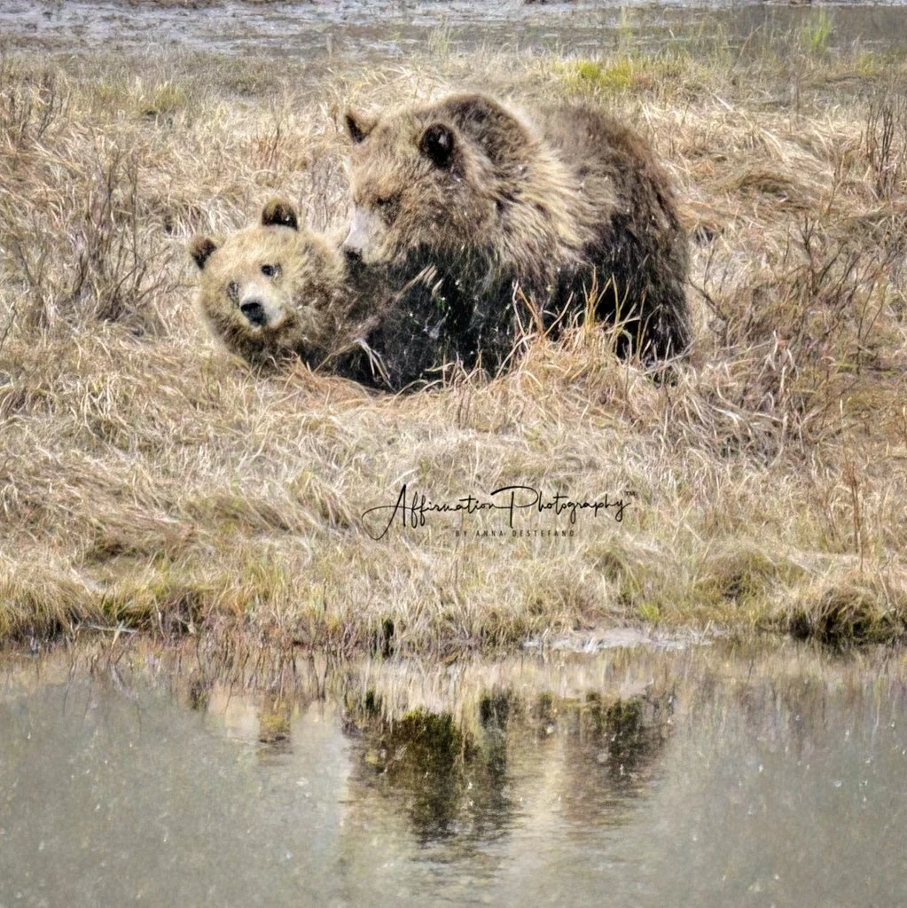 2024-05-07 001 405-1 sized.jpg