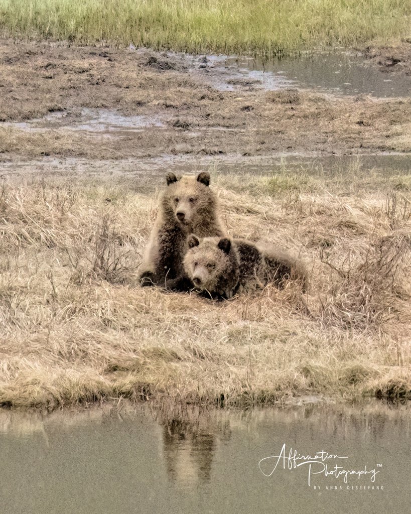 2024-05-07 001 688 CROP-1.jpg