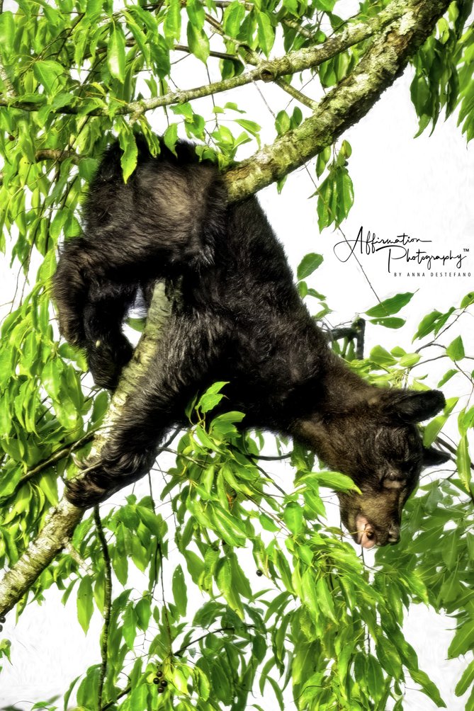 2023-08-11 001 322-Edit merged 2-1 SIZED.jpg