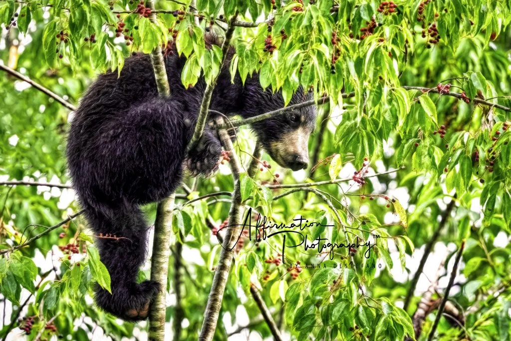 2023-08-11 001 1223-Edit MERGED 3-1 SIZED.jpg