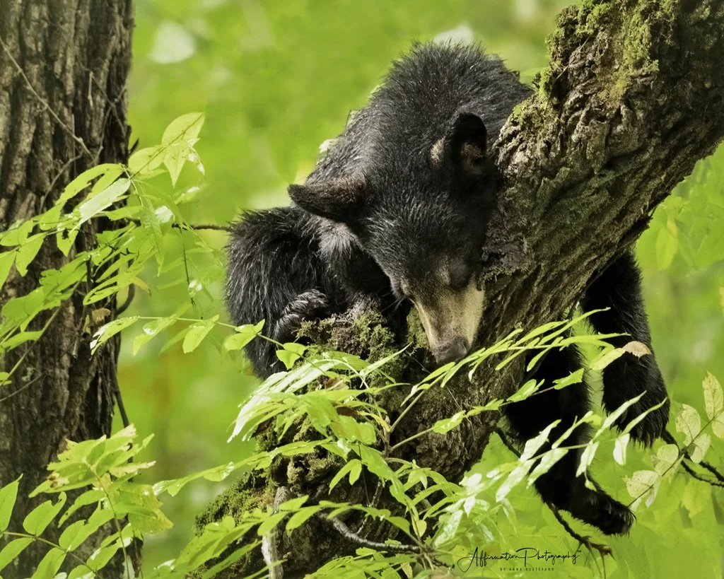 2021-10-16 002 1177 crop merged 2 crop-1 sized.jpg