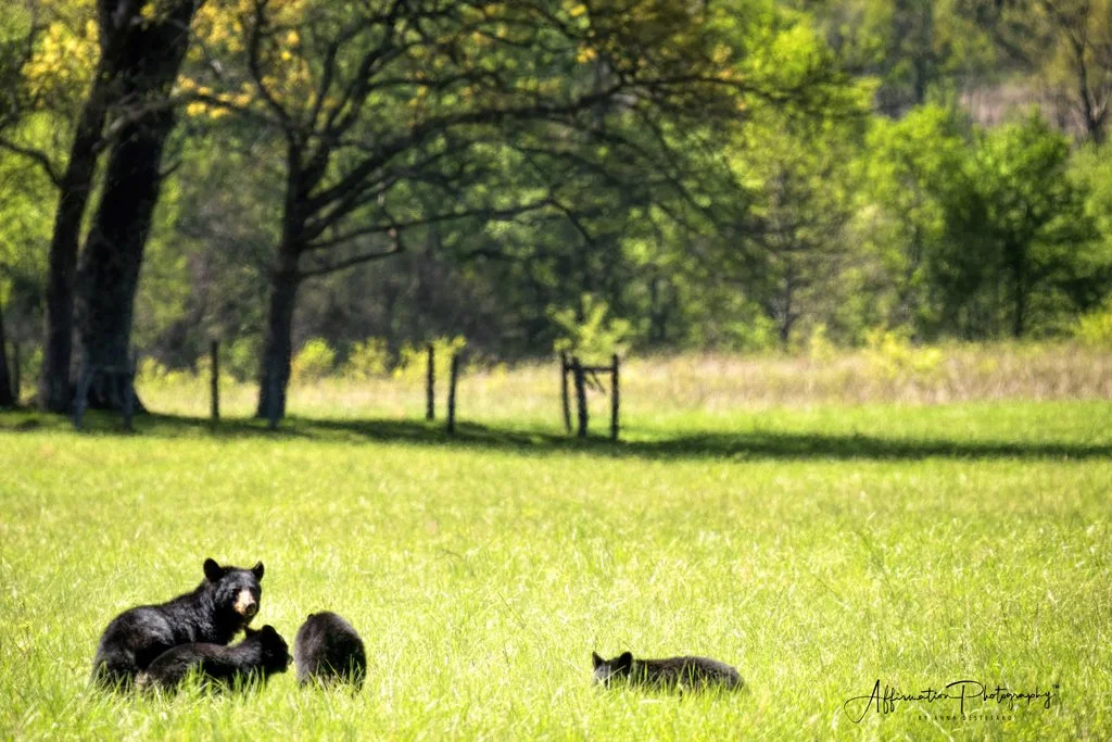 2024-04-25 001 1539 merged-1.jpg