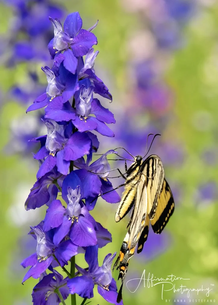 2025-05-23 236 crop 1-1 sized.jpg