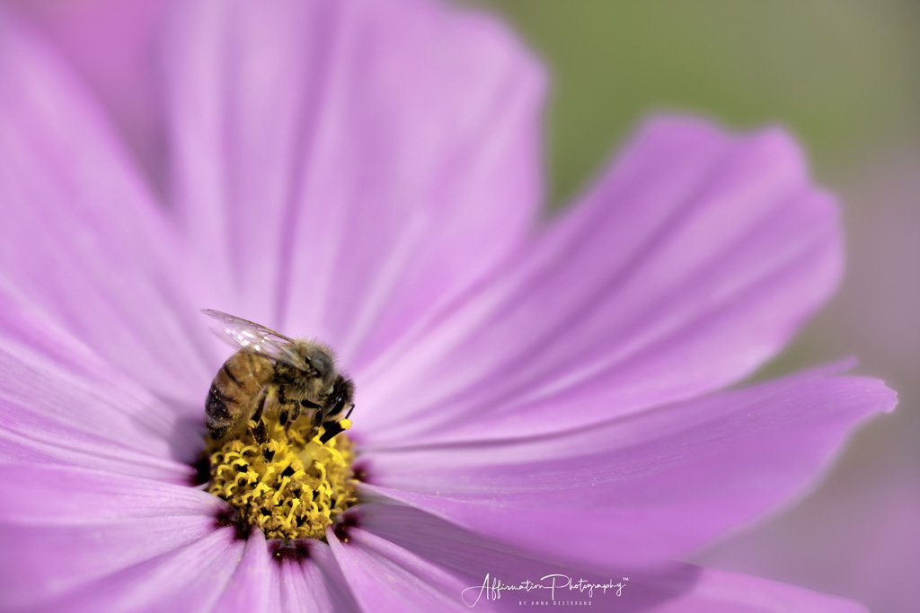 2021-10-08 001 208 merged-1 sized.jpg