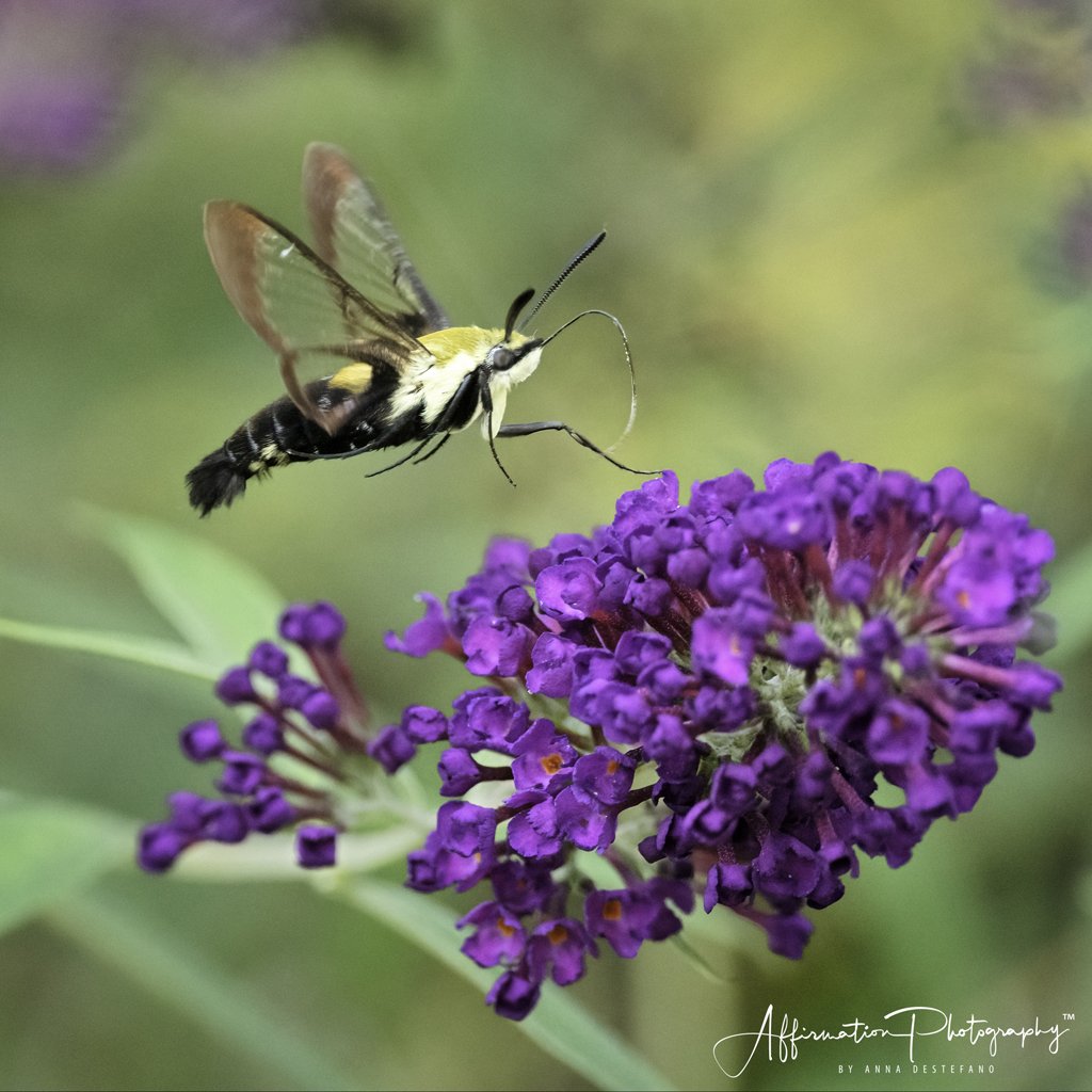 2021-08-26 001 541 merged 2-1.jpg