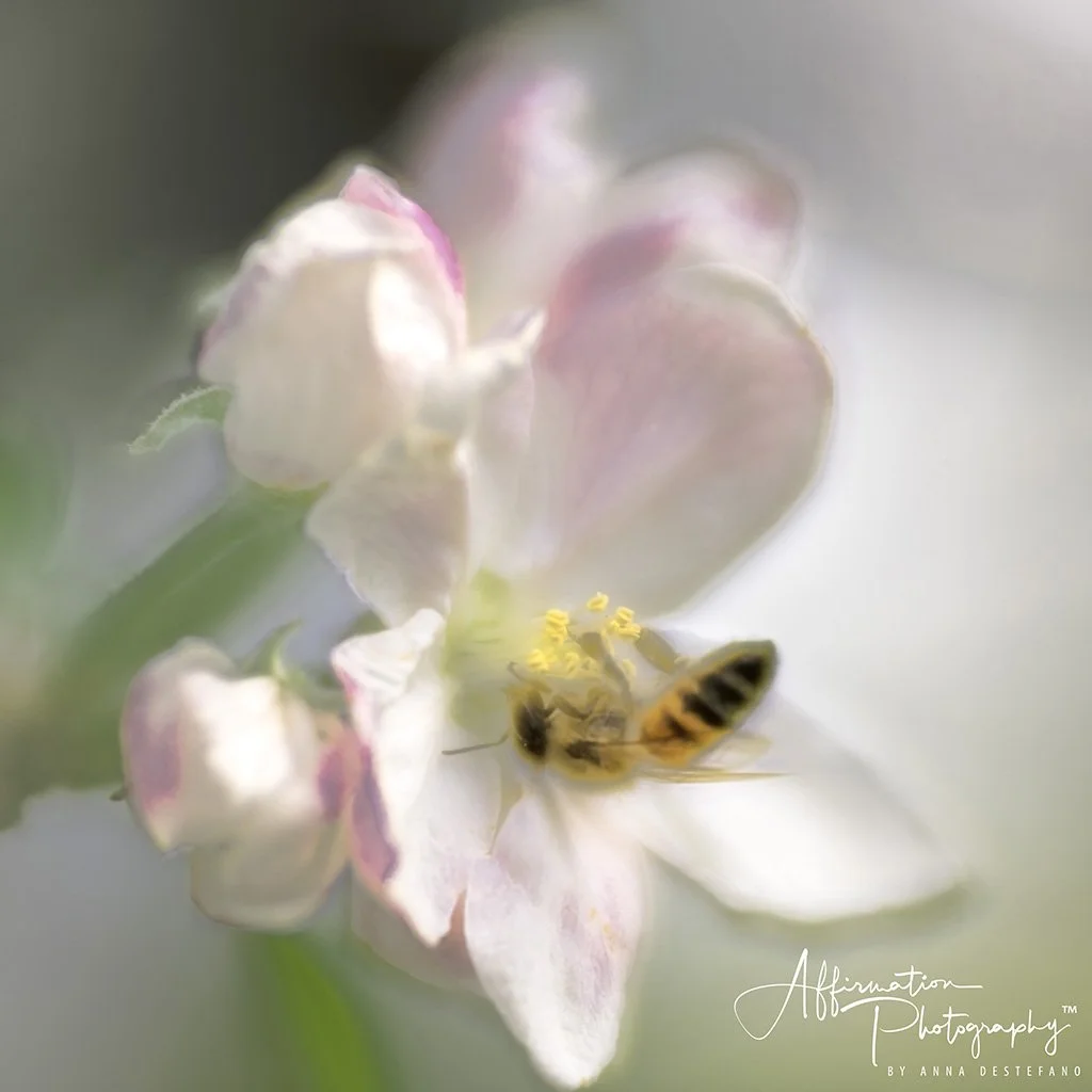 2020-04-06 001 031 - Copy-Edit merged-denoise-1 SIZED.jpg