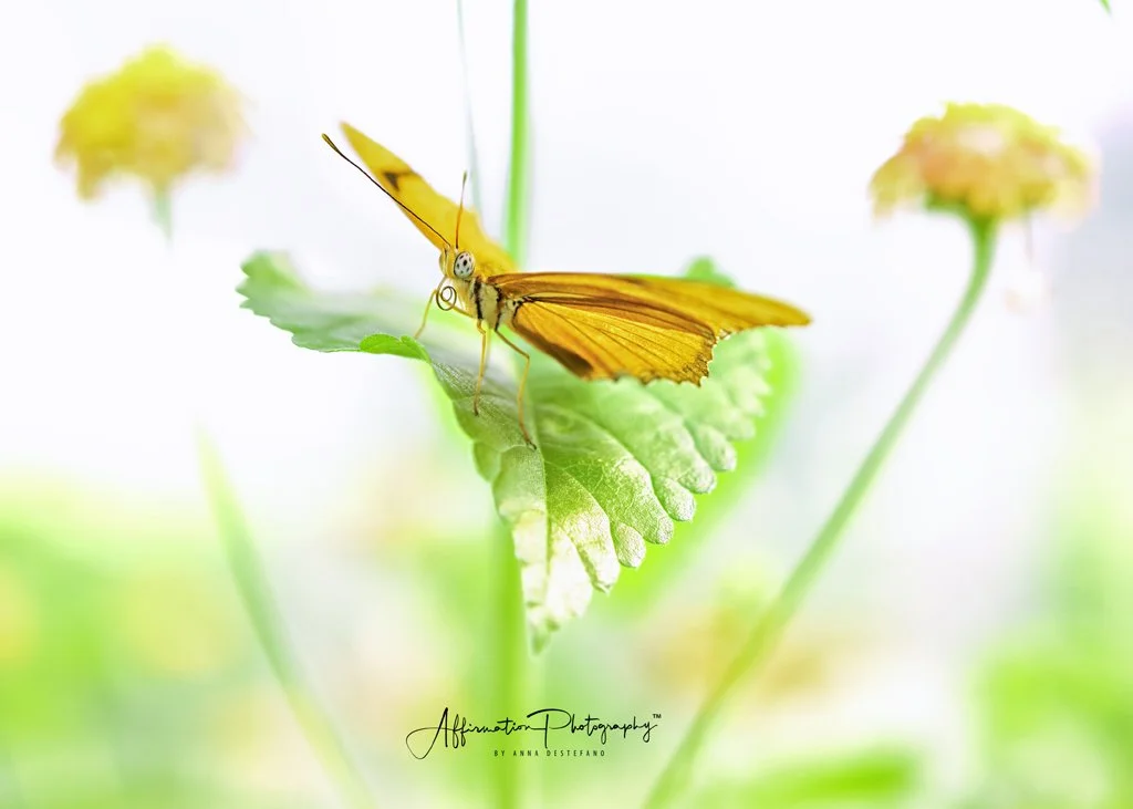 2021-08-26 002 032-Edit merged-1.jpg