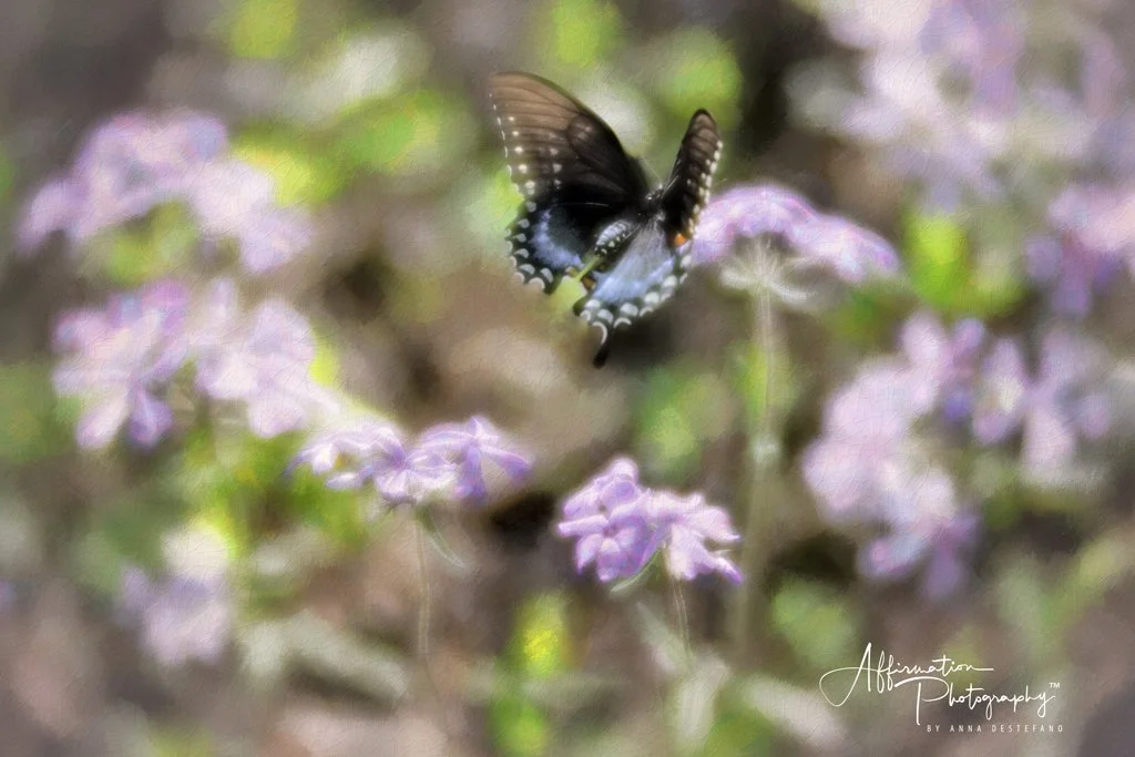 2022-04-15 001 079-Edit merged 2-1.jpg