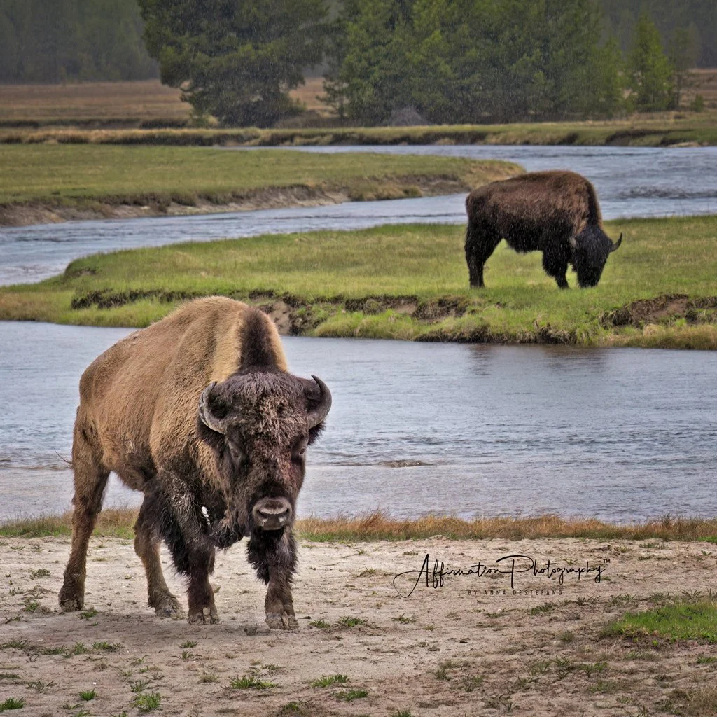 2024-05-09 004 1315-1.jpg