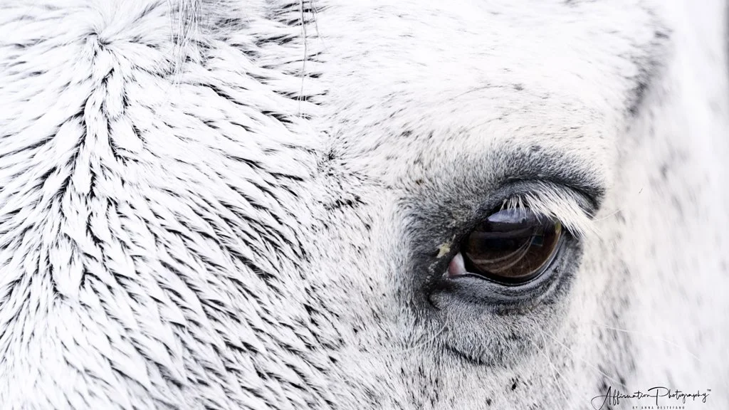 2022-05-28 001 105-Edit merged 2-1.jpg