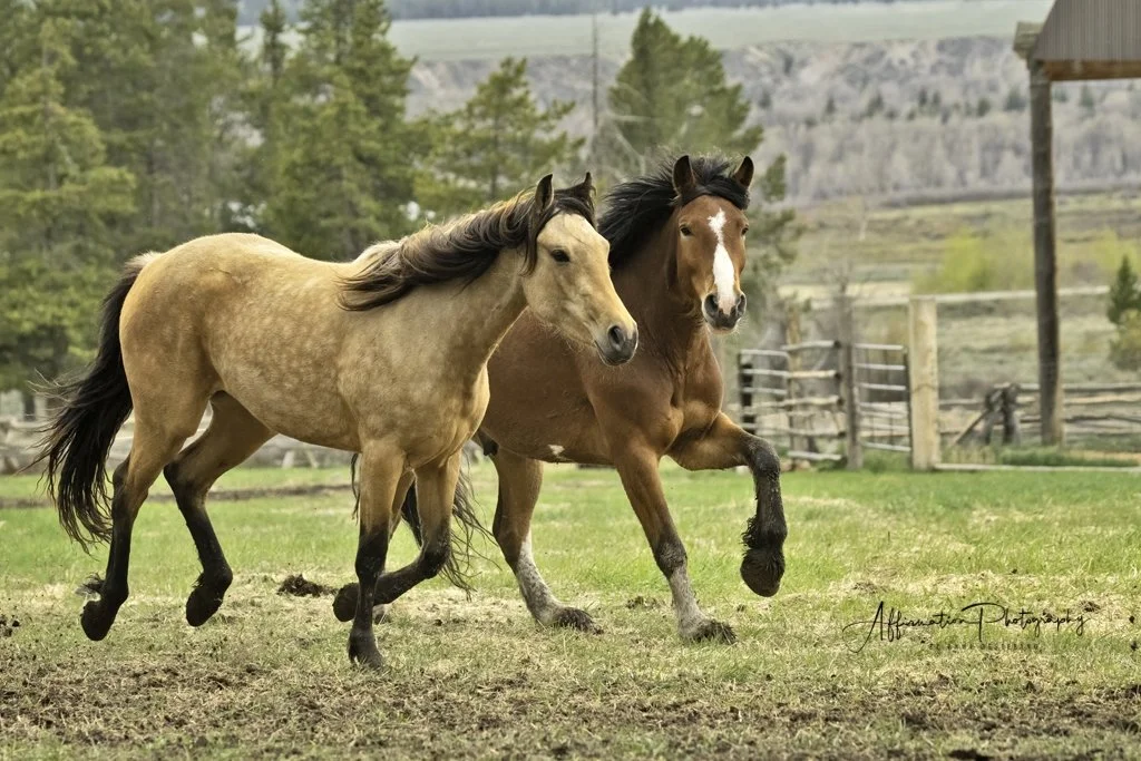 2021-05-25 002 416-Edit MERGED SIZED-1.jpg