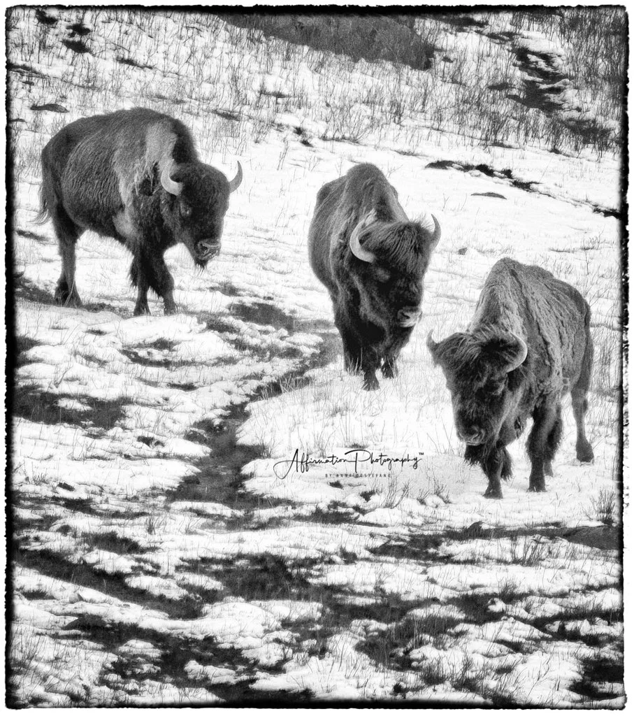 2024-05-07 002 130-1 SIZED.jpg