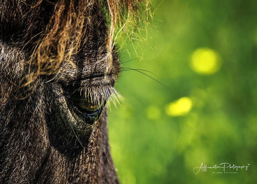 2020-07-20 001 288 - Copy-Edit merged 3-1 SIZED.jpg