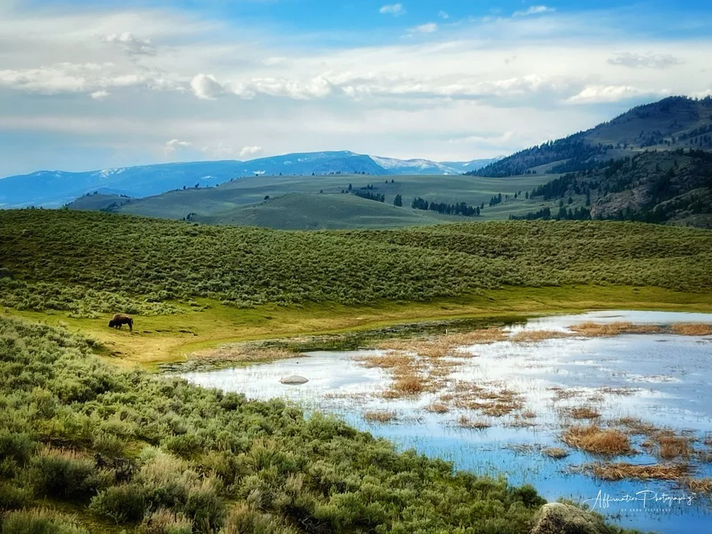 KKBME0793 FINAL-1.JPG