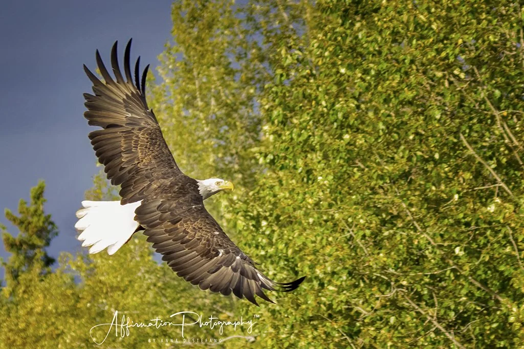 2022-09-04 001 818-Edit-1 SIZED.jpg