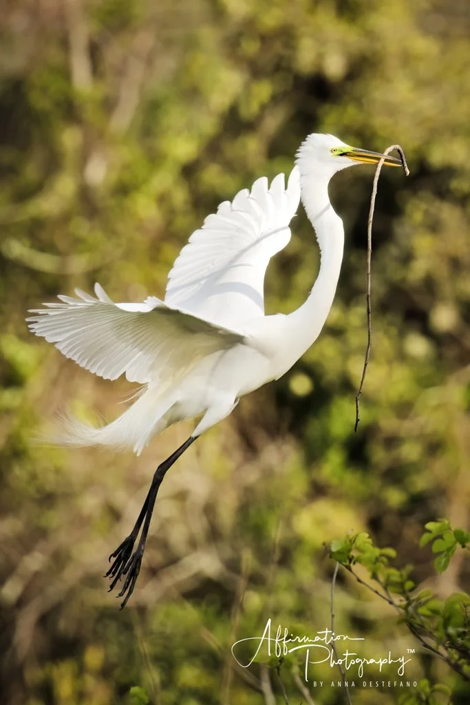 2025-03-20 002 307 merged-1 SIZED.jpg