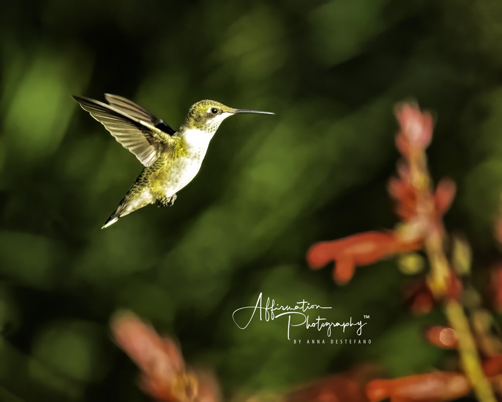 2023-09-03 001 307-Edit merged 2-1 SIZED.jpg