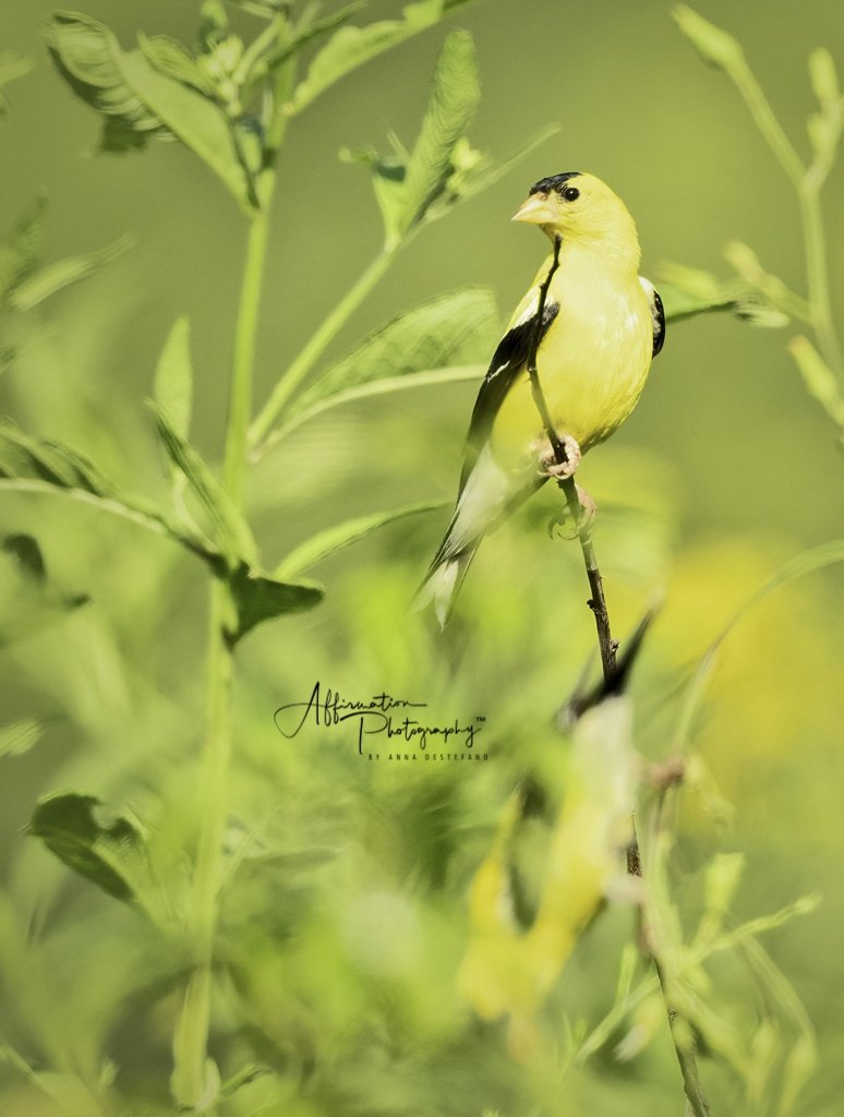 2021-08-18 001 318-Edit SIZED-1.jpg