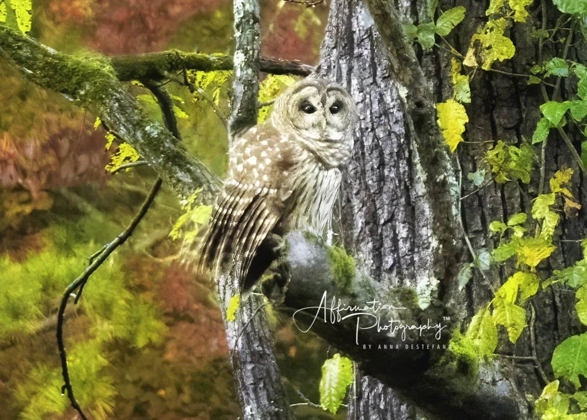 2014-03-07 002 191-Edit merged 2 CROP H1-1 sized.jpg