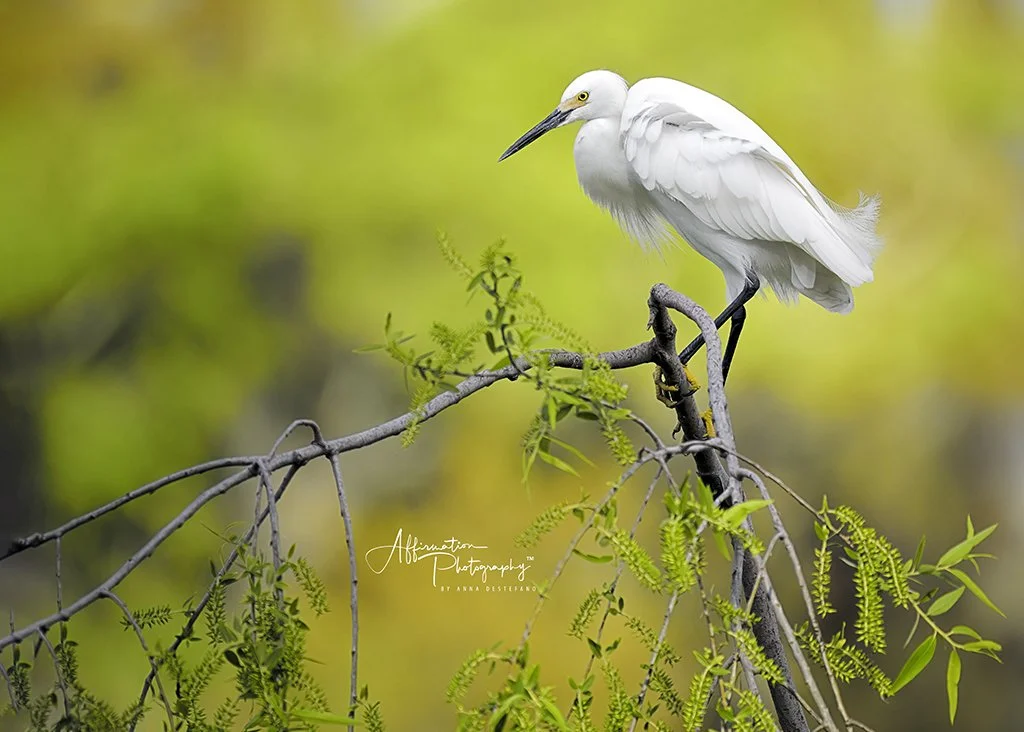 2024-03-23 002 2348-Edit copy-1 sized.jpg