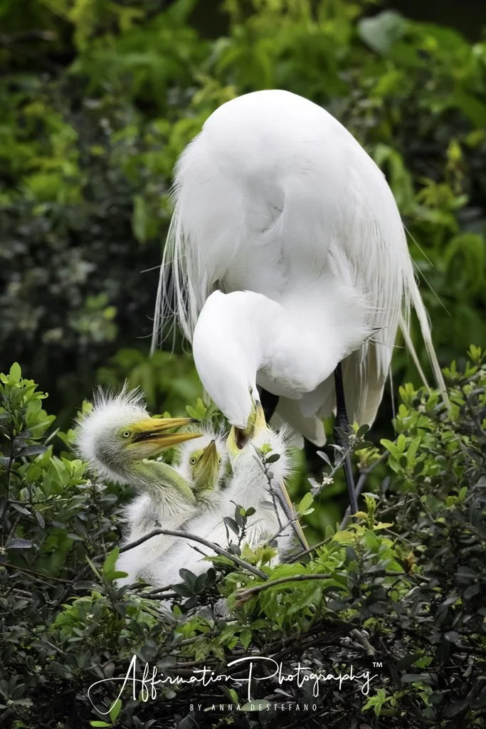 2023-04-09 001 180-Edit-1.jpg