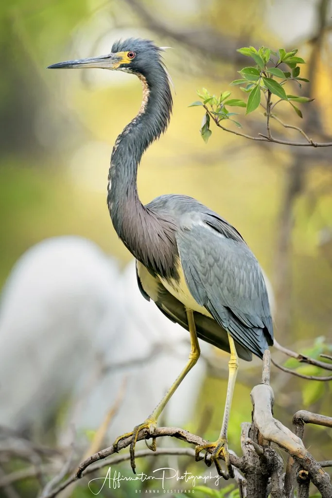 2025-03-18 004 224-2-1 SIZED.jpg