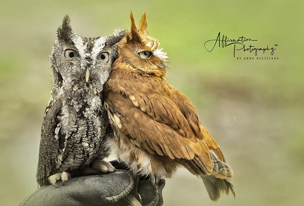 2021-05-23 003 621-1 SIZED.jpg